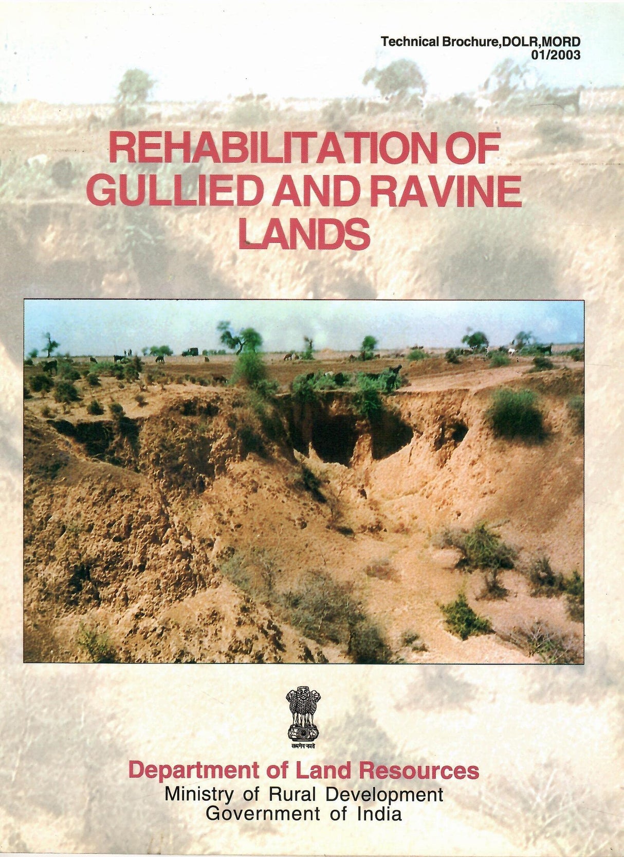 Rehabilitation Of Gullied And Ravine Lands