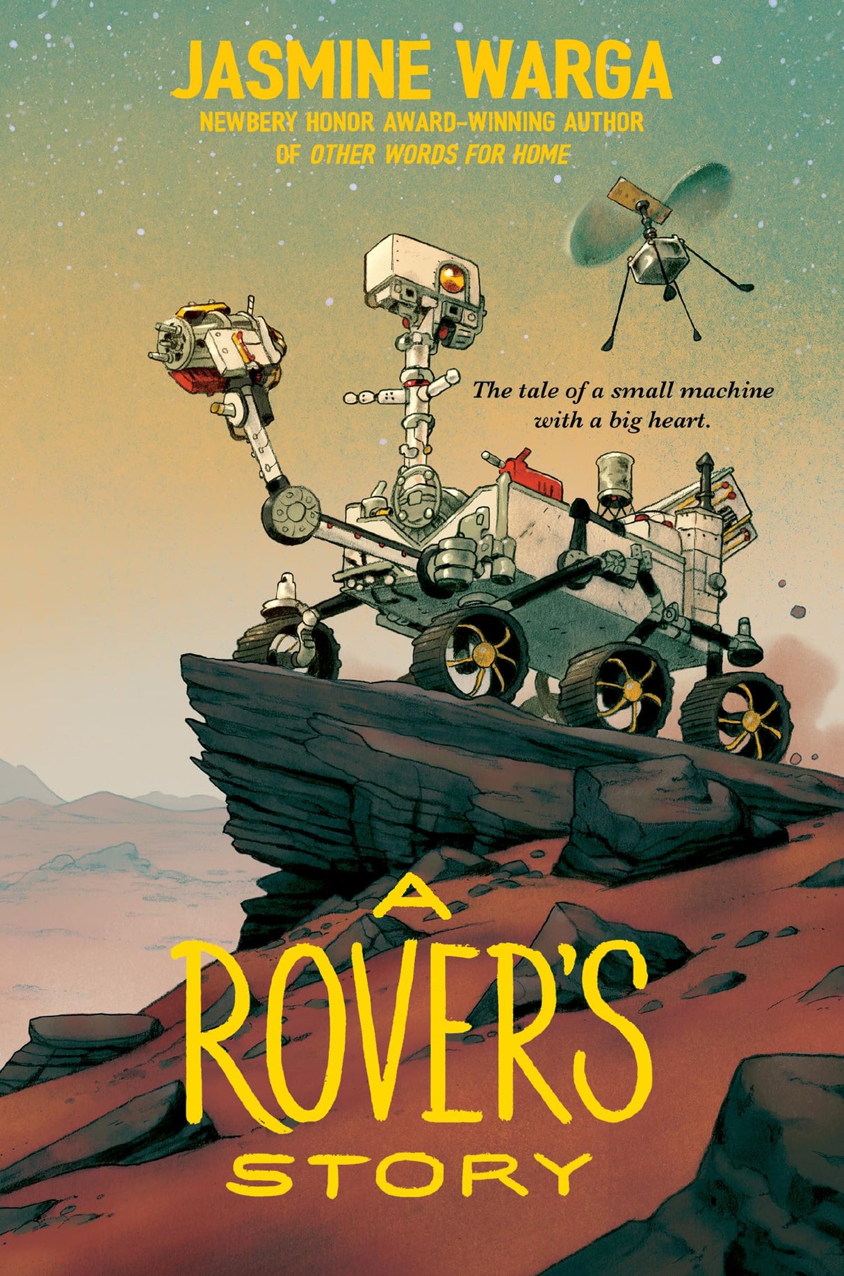 A Rover's Story - Retail Maharaj