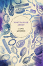 Northanger Abbey - Retail Maharaj