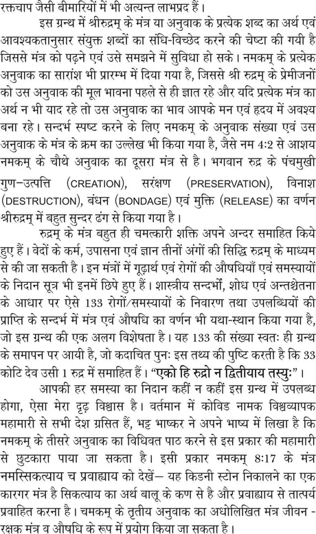 Sri Rudram evam uski Chamatkarik Shaktiyan [Paperback] Mr G M AGARWAL - Retail Maharaj