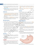 INDERBIR SINGH'S TEXTBOOK OF HUMAN HISTOLOGY - Retail Maharaj