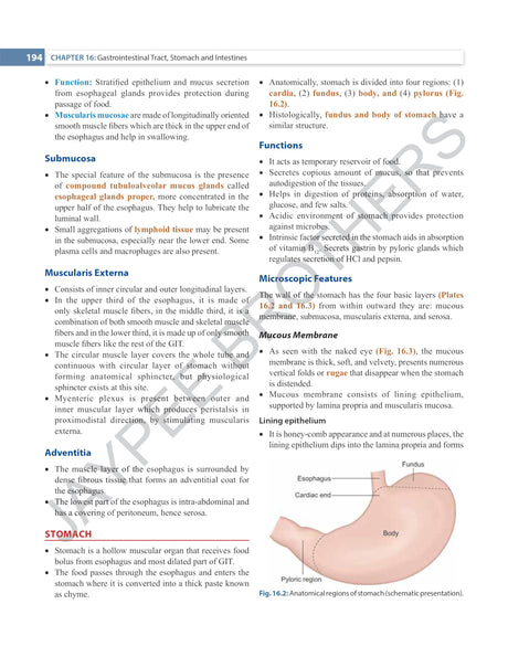 INDERBIR SINGH'S TEXTBOOK OF HUMAN HISTOLOGY - Retail Maharaj