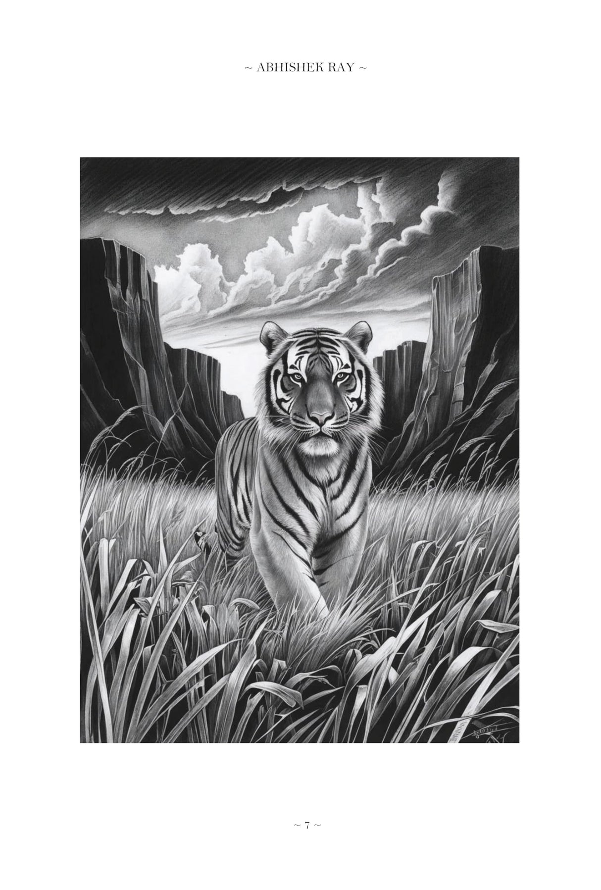 BAAGH Tiger - The Inside Story - Retail Maharaj
