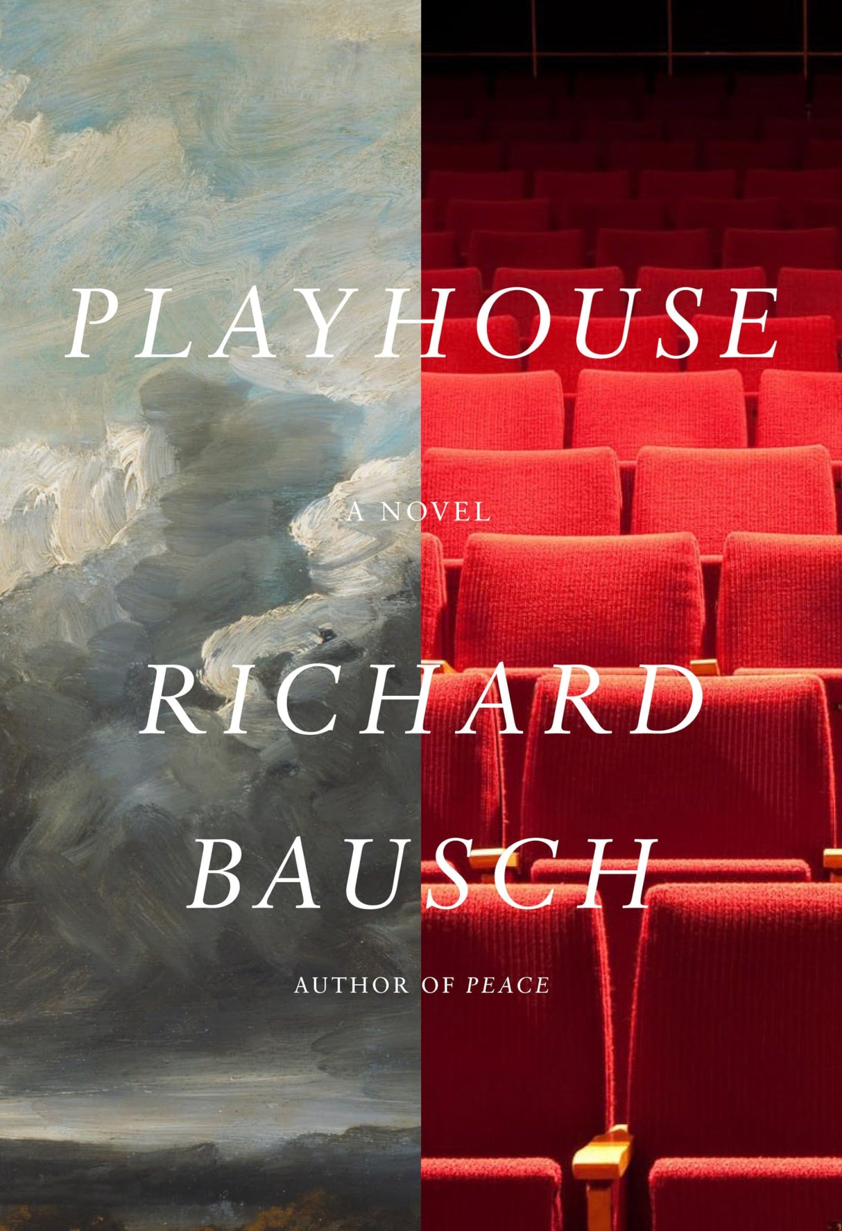 Playhouse: A novel - Retail Maharaj