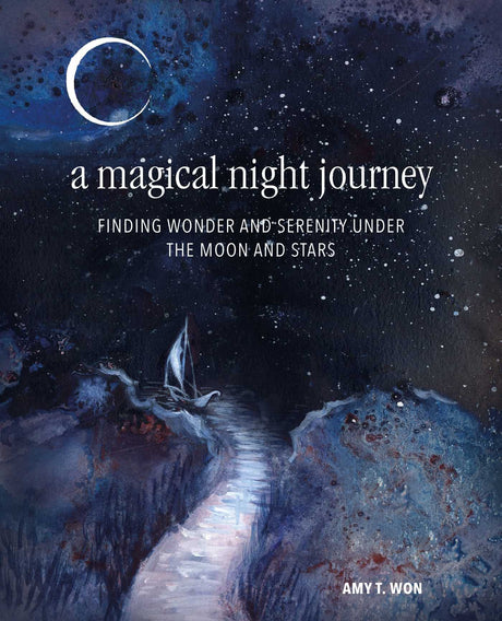 A Magical Night Journey - Retail Maharaj