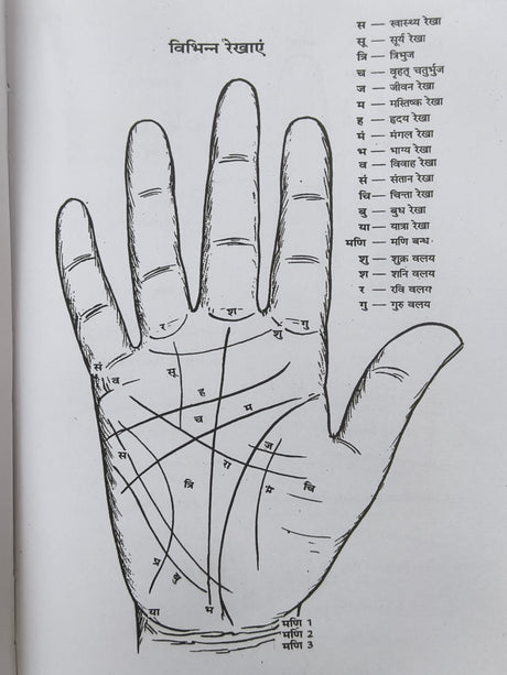 Medical Palmistry / हस्तरेखाओं से रोग की पहचान By Gopal Raju - Retail Maharaj