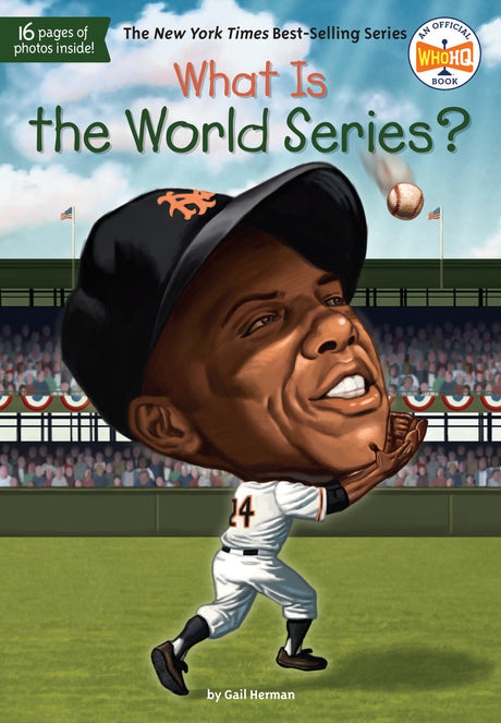 What Is the World Series? (What Was?) - Retail Maharaj