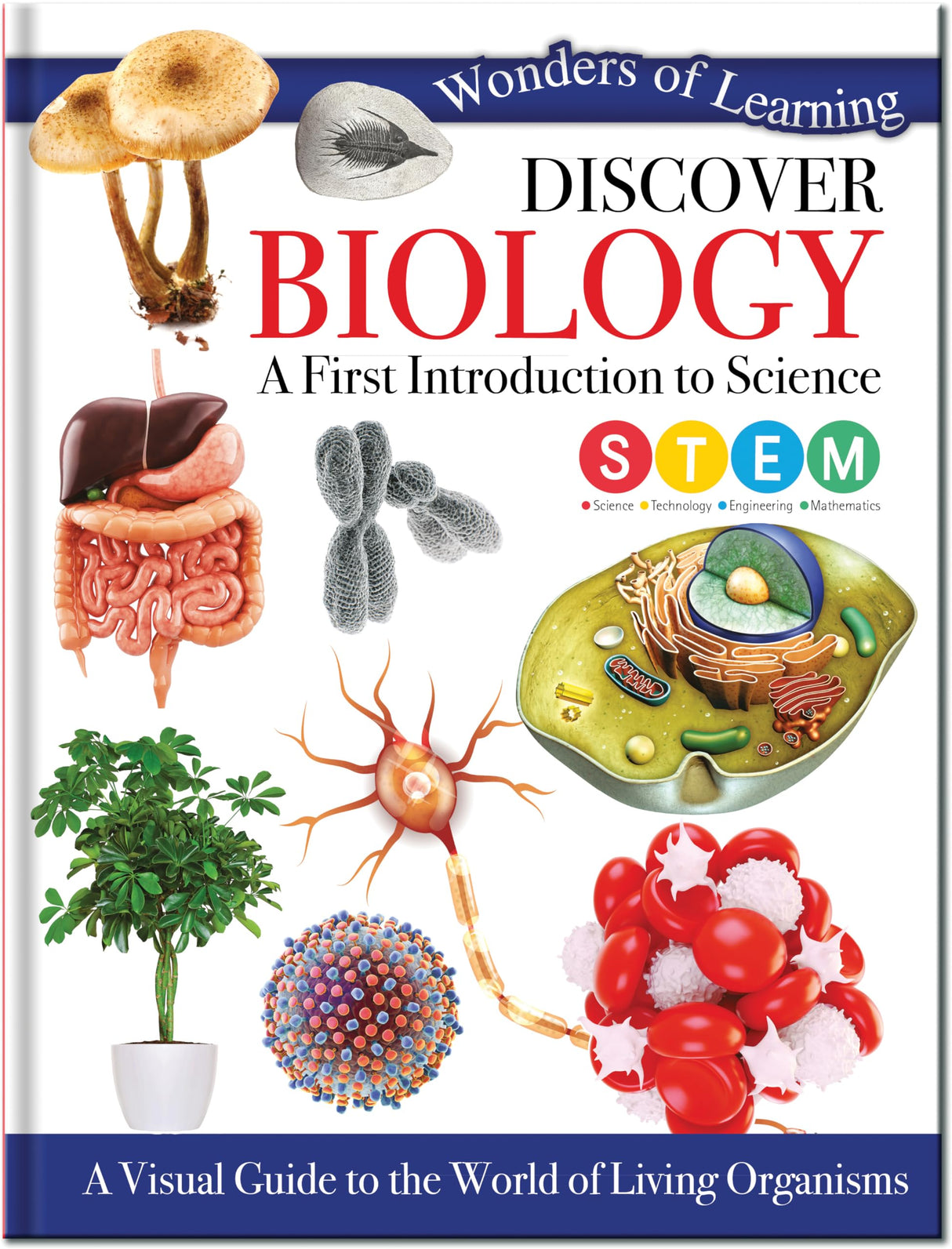 BIOLOGY - Retail Maharaj