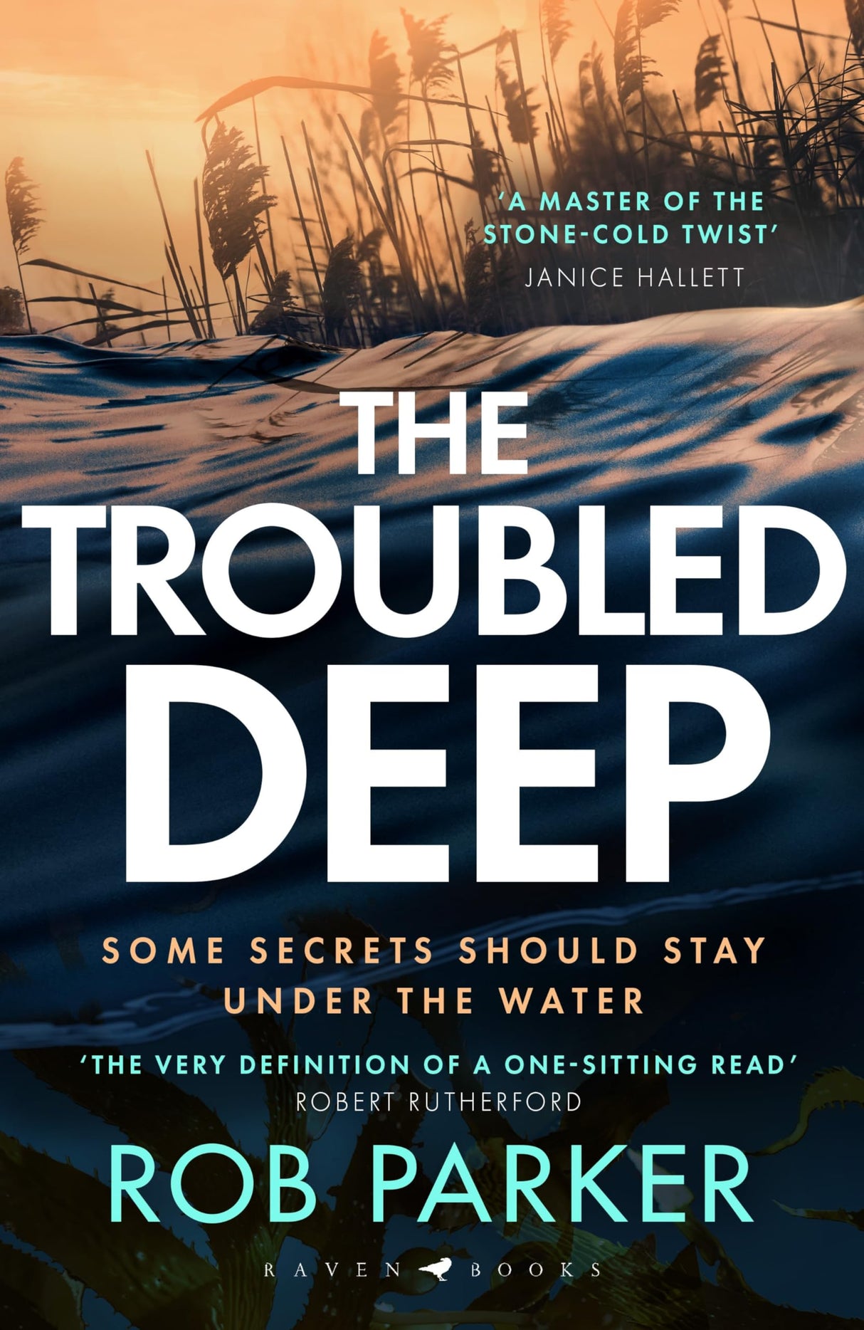 The Troubled Deep: 'The most brilliant Norfolk-set thriller since Elly Griffiths' Ruth Galloway books' Daily Mirror (Cam Killick Norfolk Mysteries) - Retail Maharaj