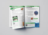 Knowledge Encyclopedia For Children - Our Planet Earth: Rock & Minerals - Retail Maharaj