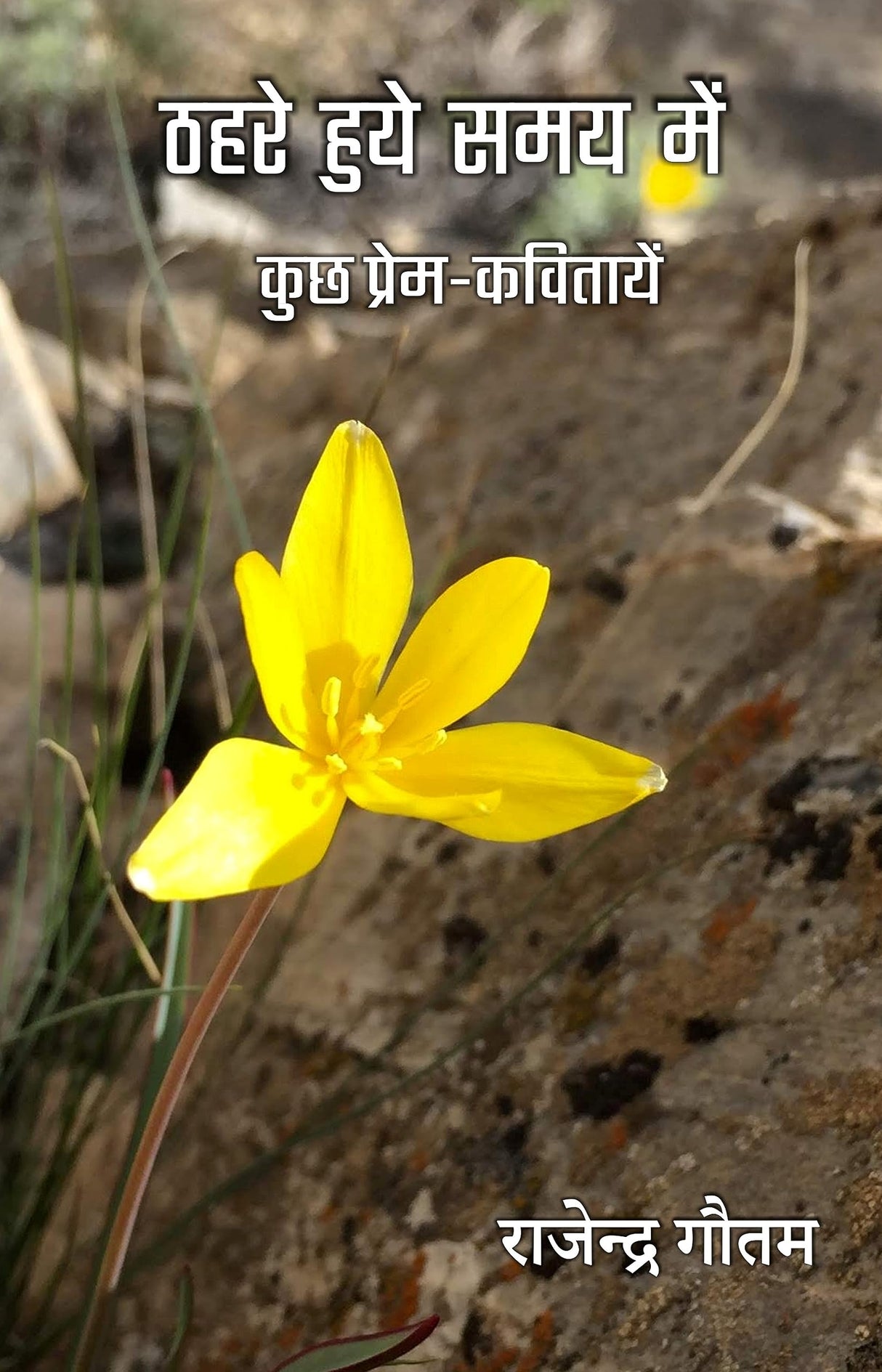 Thahare Hue Samay Mein [Hardcover] Dr. Rajendra Gautam
