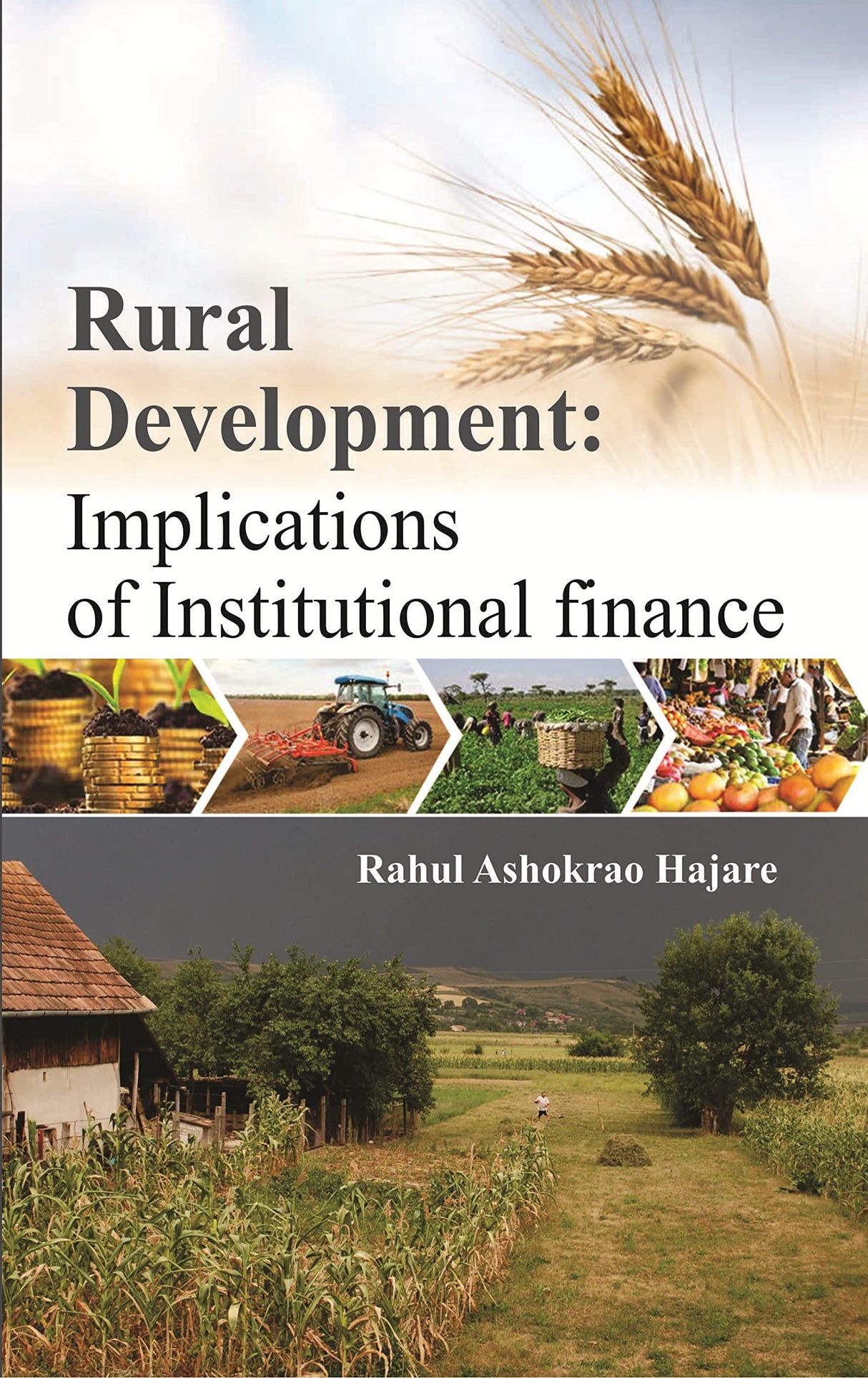 Rural Development : Implications of Institutional Finance - Retail Maharaj