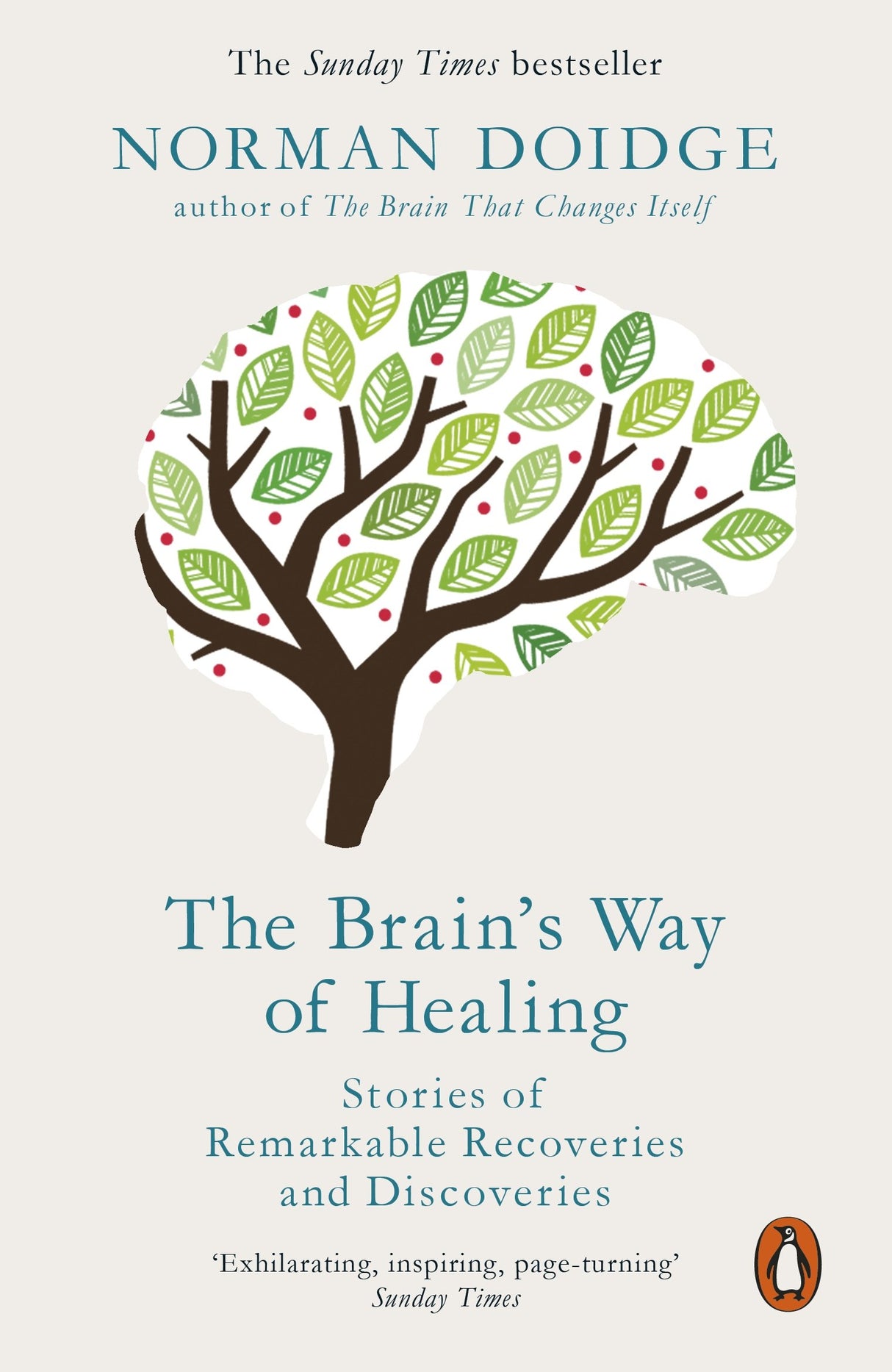 The Brain's Way of Healing: Stories of Remarkable Recoveries and Discoveries - Retail Maharaj