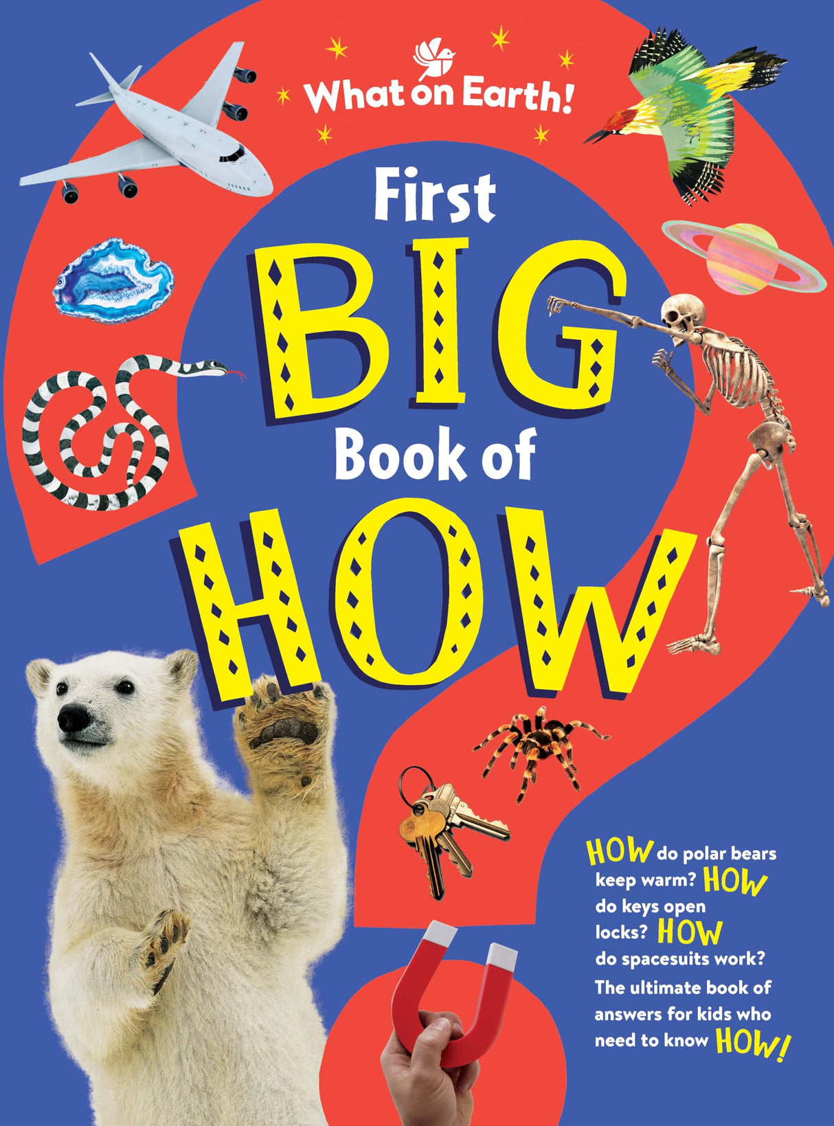First Big Book Of How - Retail Maharaj