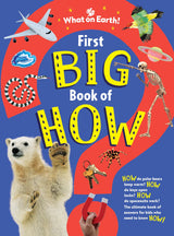 First Big Book Of How - Retail Maharaj