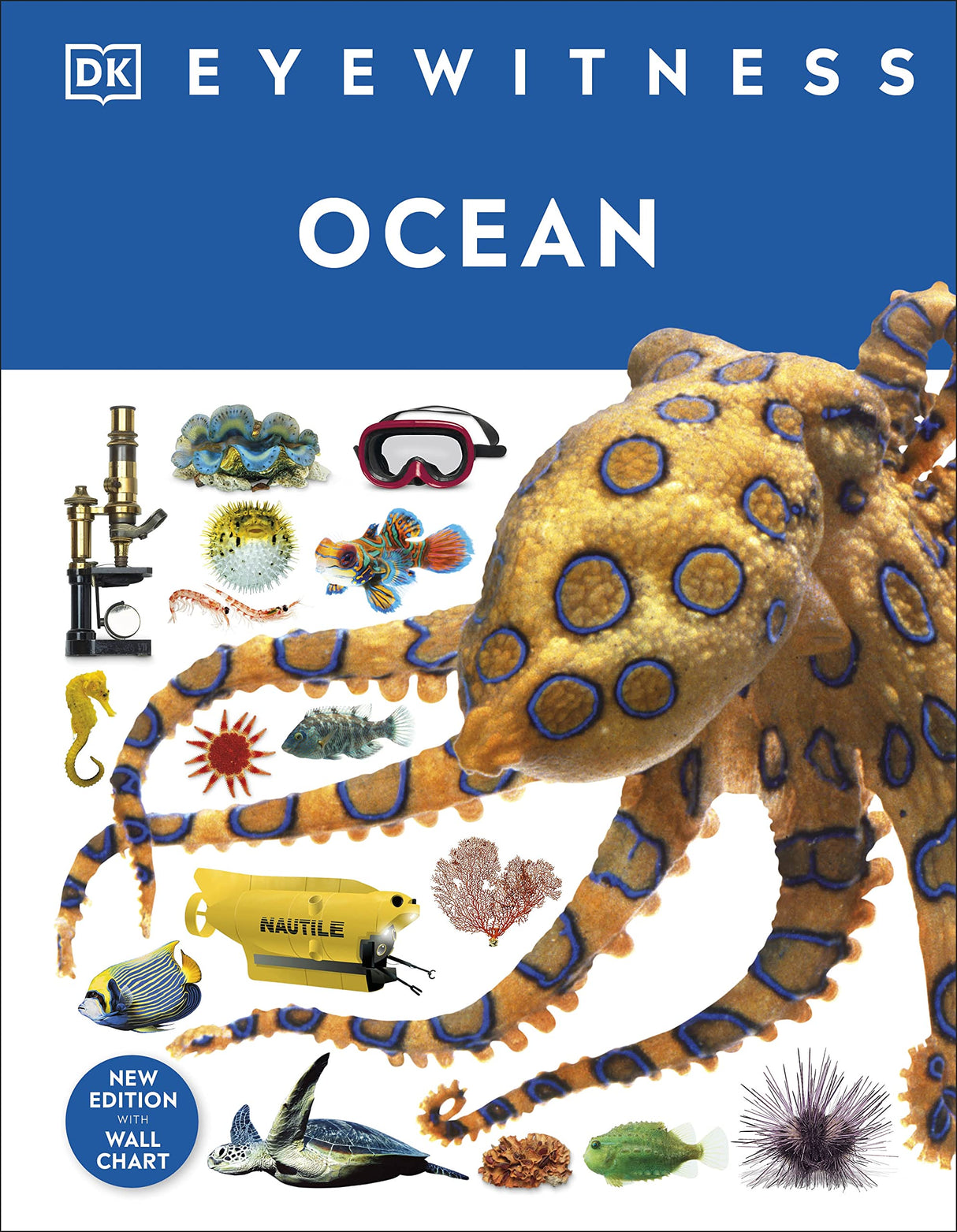 Ocean - Retail Maharaj
