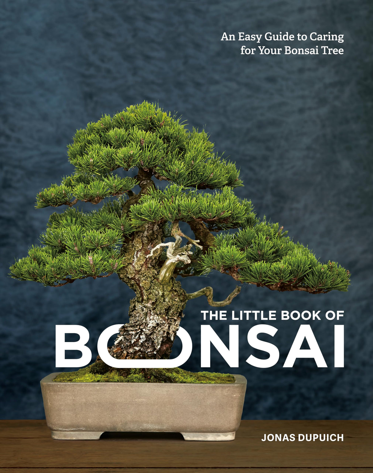 The Little Book of Bonsai: An Easy Guide to Caring for Your Bonsai Tree - Retail Maharaj