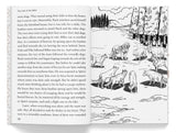 The Call of the Wild : Illustrated Abridged Children Classics English Novel with Review Questions - Retail Maharaj