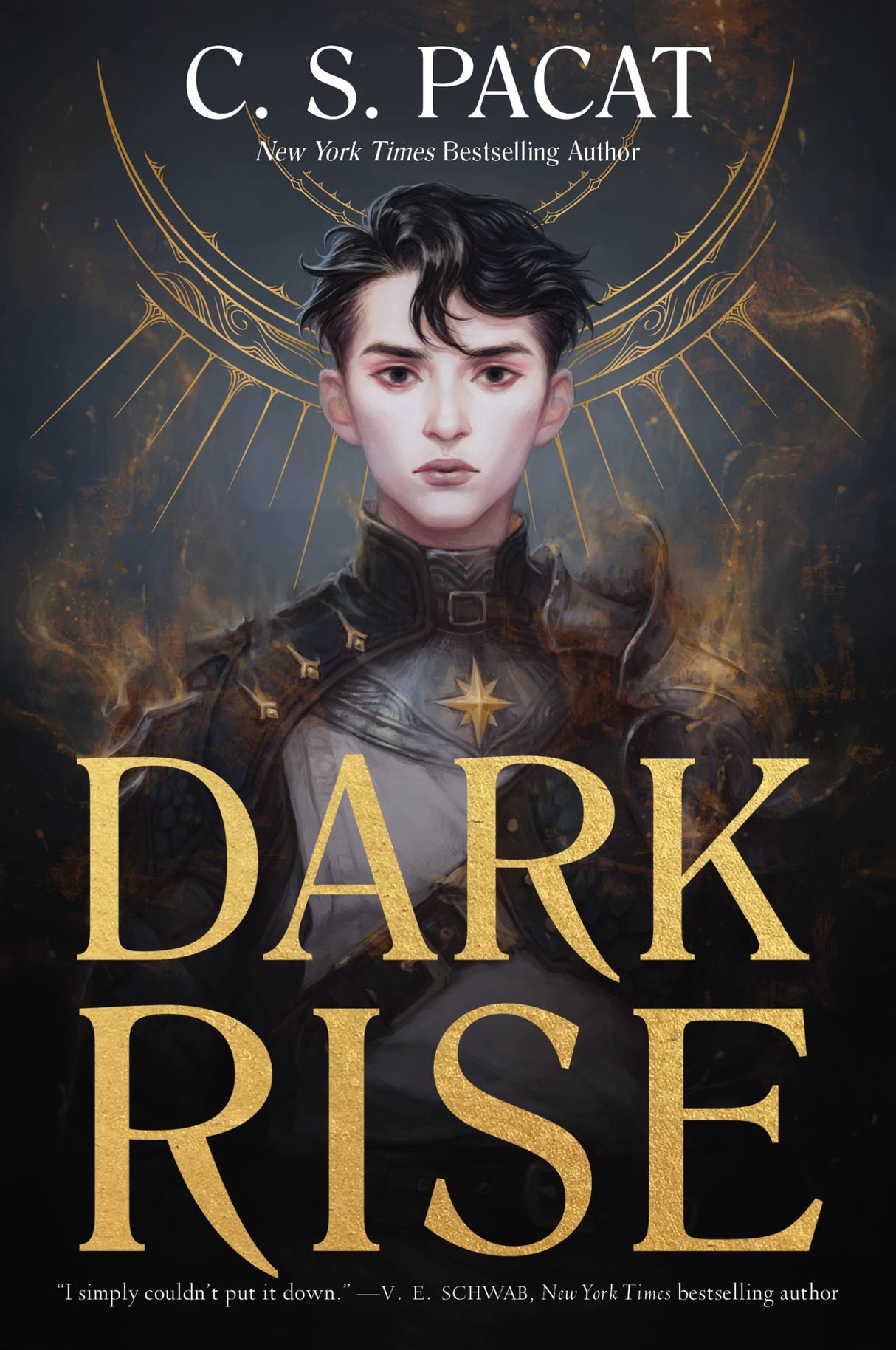 Dark Rise: 1 - Retail Maharaj