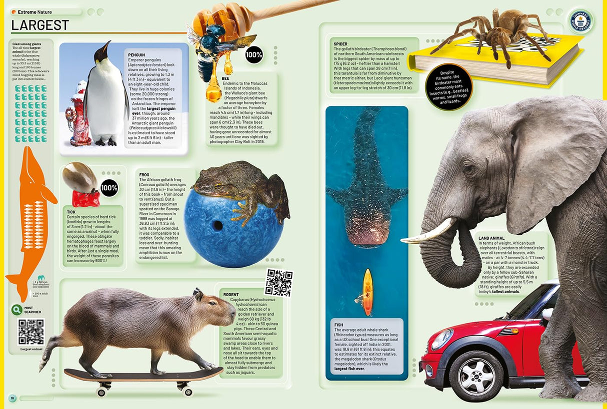 Guinness World Records 2026: The Official Yearly Edition Featuring Record-Breaking Achievements | Explore Fun Facts & Trivia | Perfect Gift Book for All Ages - Retail Maharaj