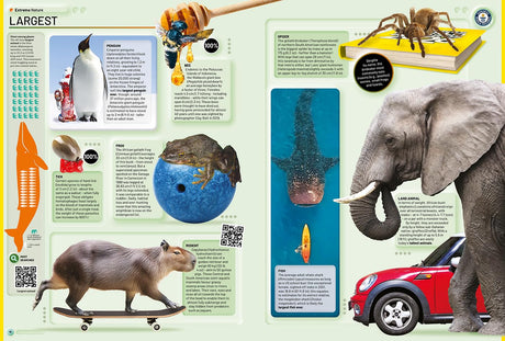 Guinness World Records 2026: The Official Yearly Edition Featuring Record-Breaking Achievements | Explore Fun Facts & Trivia | Perfect Gift Book for All Ages - Retail Maharaj