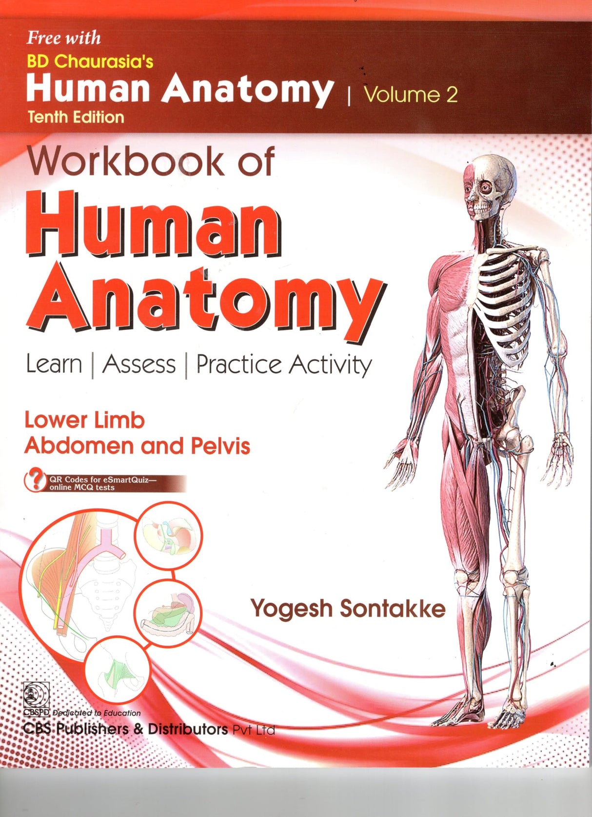 Bd Chaurasias Human Anatomy - 10Ed Vol 2 Regional And Applied Dissection And Clinical Lower Limb Abdomen And Pelvis With Free Workbook And Ebooks (Pb 2025) - Retail Maharaj