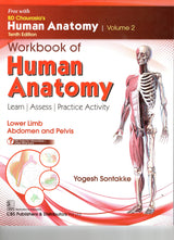 Bd Chaurasias Human Anatomy - 10Ed Vol 2 Regional And Applied Dissection And Clinical Lower Limb Abdomen And Pelvis With Free Workbook And Ebooks (Pb 2025) - Retail Maharaj