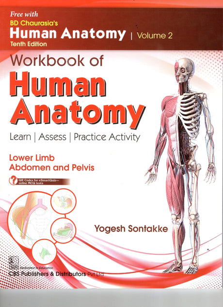 Bd Chaurasias Human Anatomy - 10Ed Vol 2 Regional And Applied Dissection And Clinical Lower Limb Abdomen And Pelvis With Free Workbook And Ebooks (Pb 2025) - Retail Maharaj