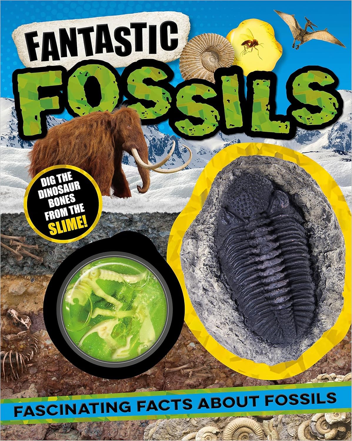 Fantastic Fossils - Retail Maharaj