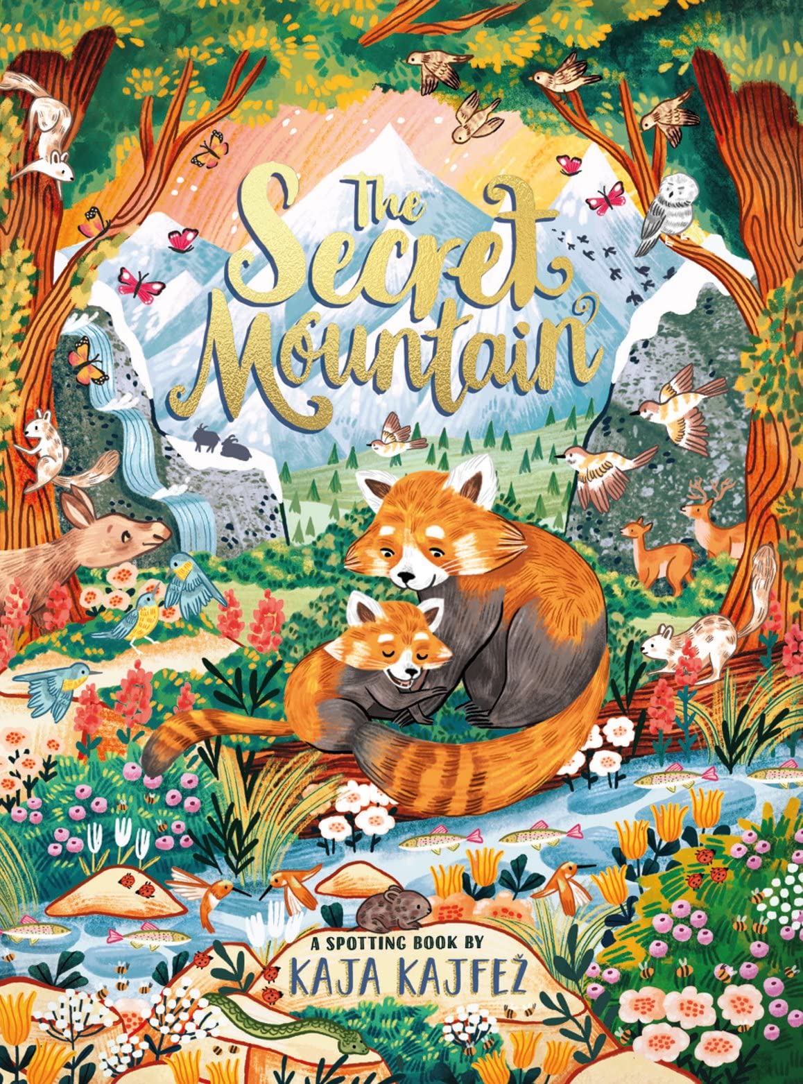 The Secret Mountain - Retail Maharaj