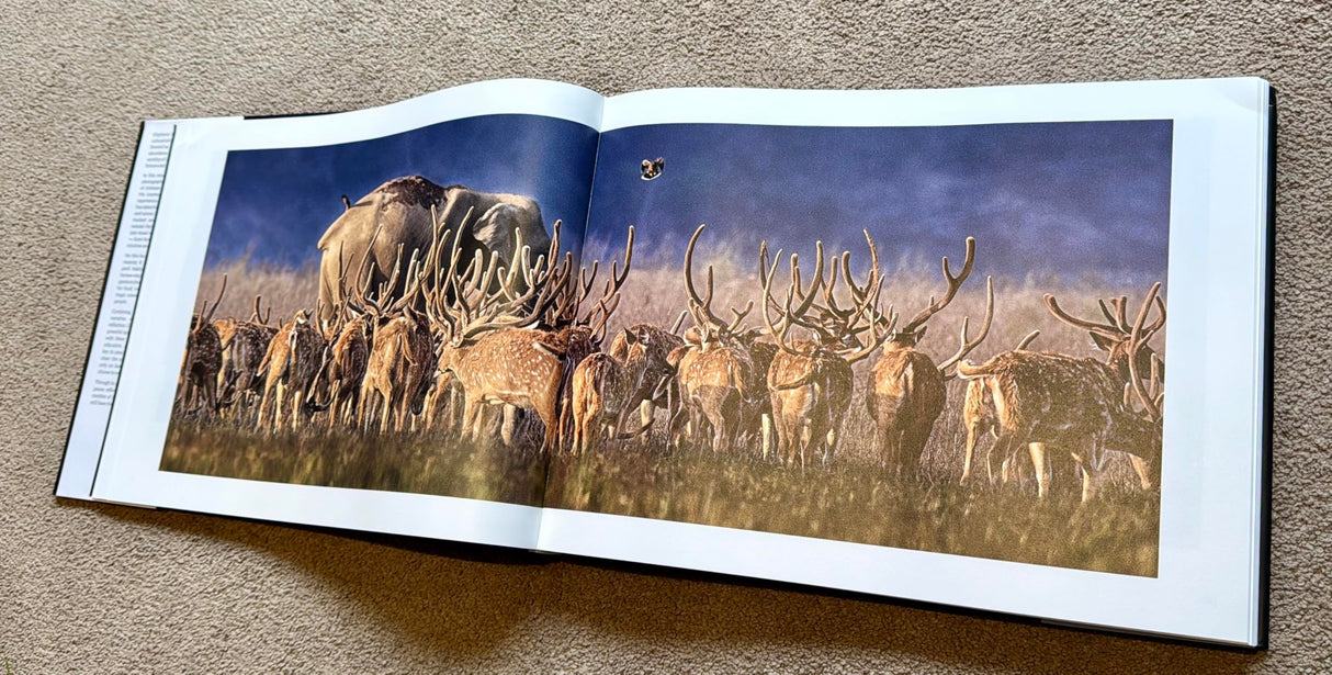 Rajesh Bedi's Elephant - The Divine Mystery, Hardcover Wildlife Photography Book with French Fold Jacket, Large Format 16 x 12 Inches, 273 Pages - Retail Maharaj