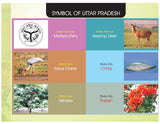 Uttar Pradesh Through Maps (Hand Written) for All UP Govt. Competitive Exams Book 2025 - 2026 | UPPSC RO/ ARO, UPSSSC PET Exam, Lekhpal, Lower, VDO, ... India | In Hindi Medium Latest Edition - Retail Maharaj