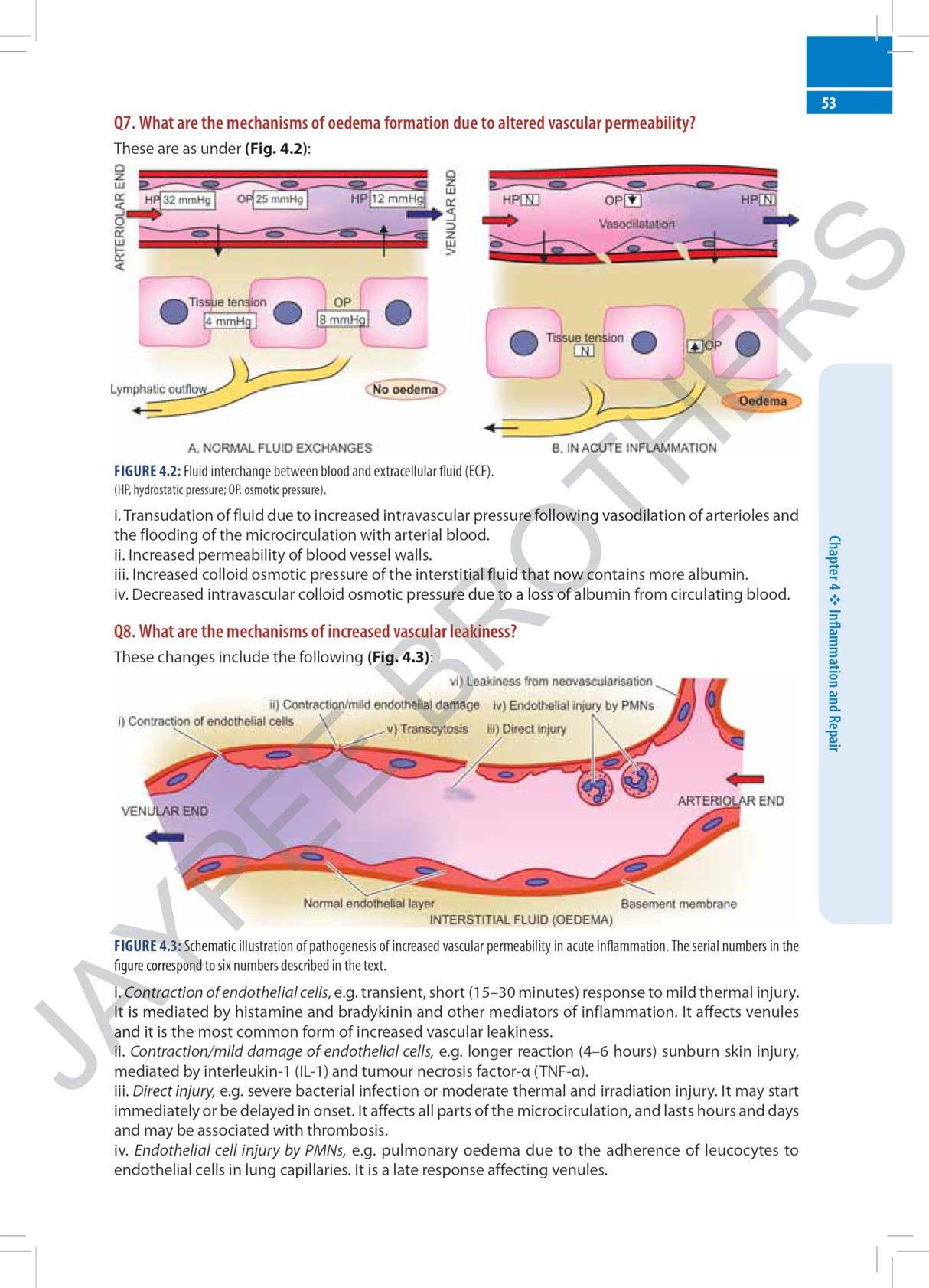 PATHOLOGY SIMPLIFIED: A QUICK REVIEW FOR EXAMINATION PREPARATION - Retail Maharaj