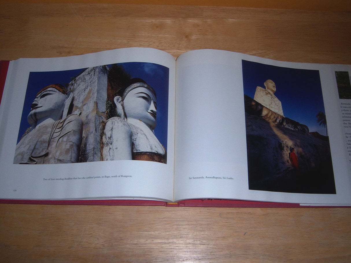 Buddha: The Living Way - Retail Maharaj
