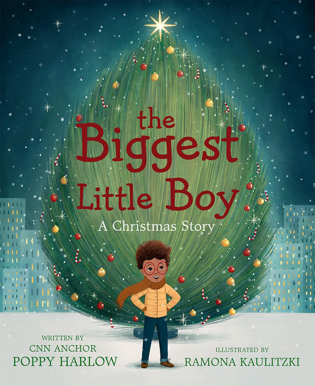 The Biggest Little Boy: A Christmas Story - Retail Maharaj
