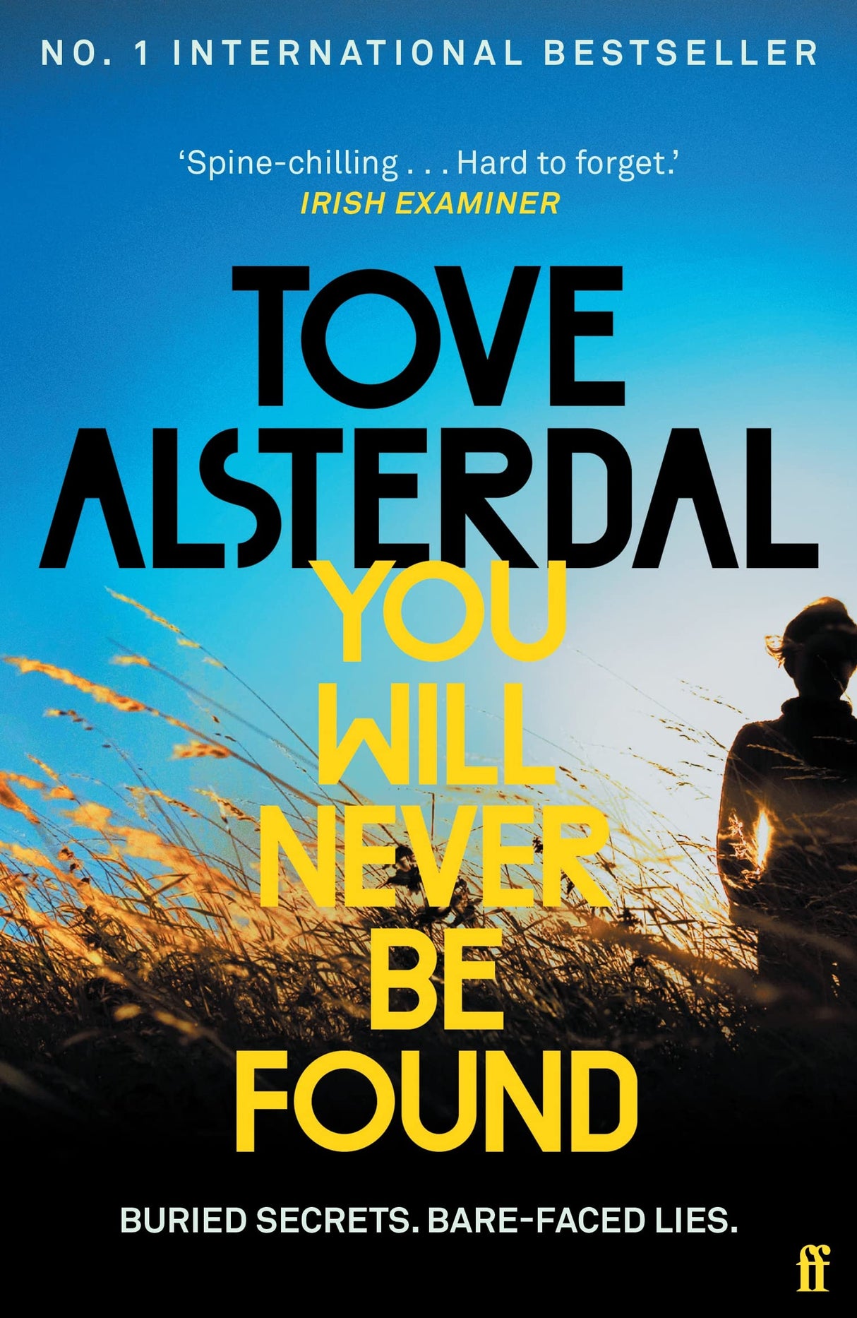You Will Never Be Found: The No. 1 International Bestseller - Retail Maharaj