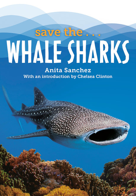 Save the...Whale Sharks - Retail Maharaj