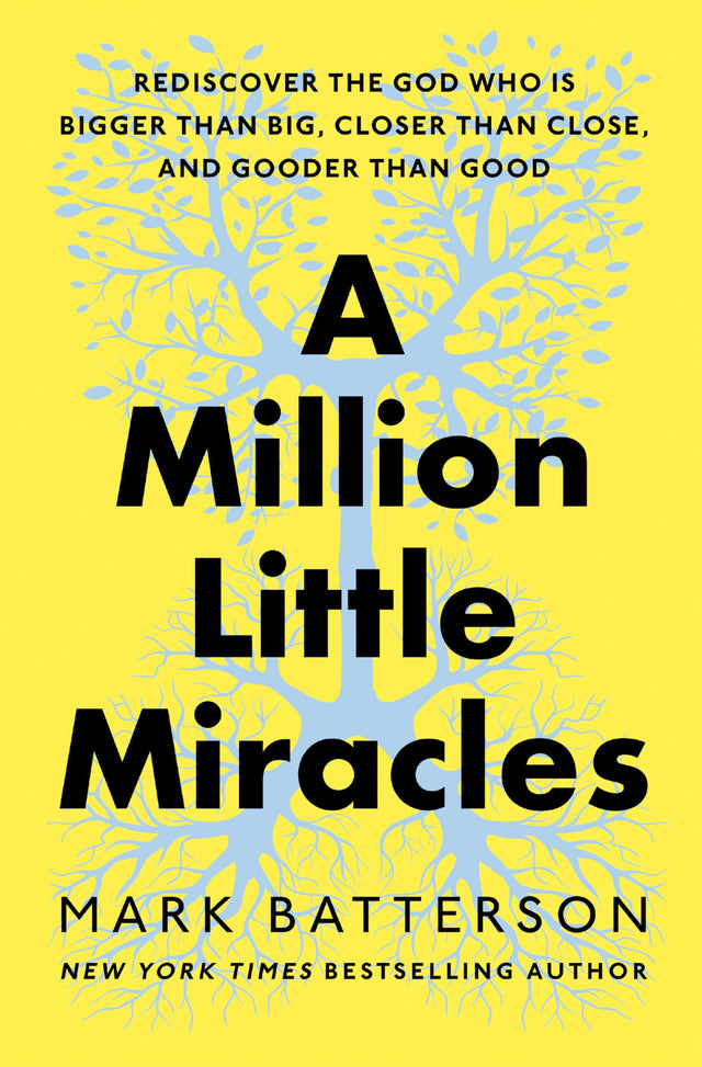 A Million Little Miracles: Rediscover the God Who Is Bigger Than Big, Closer Than Close, and Gooder Than Good - Retail Maharaj