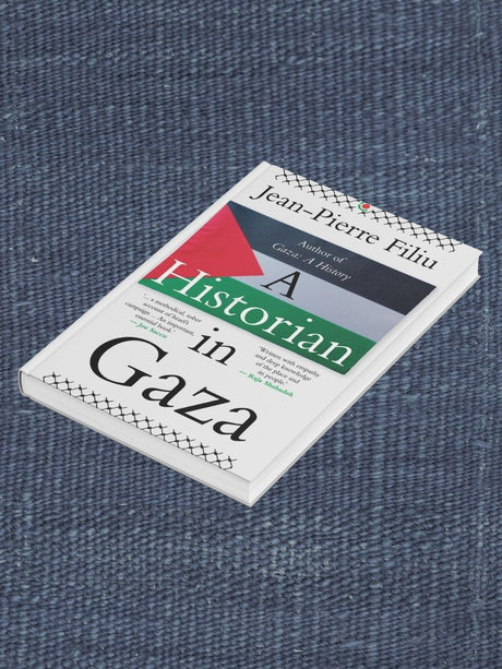 A Historian in Gaza - Retail Maharaj