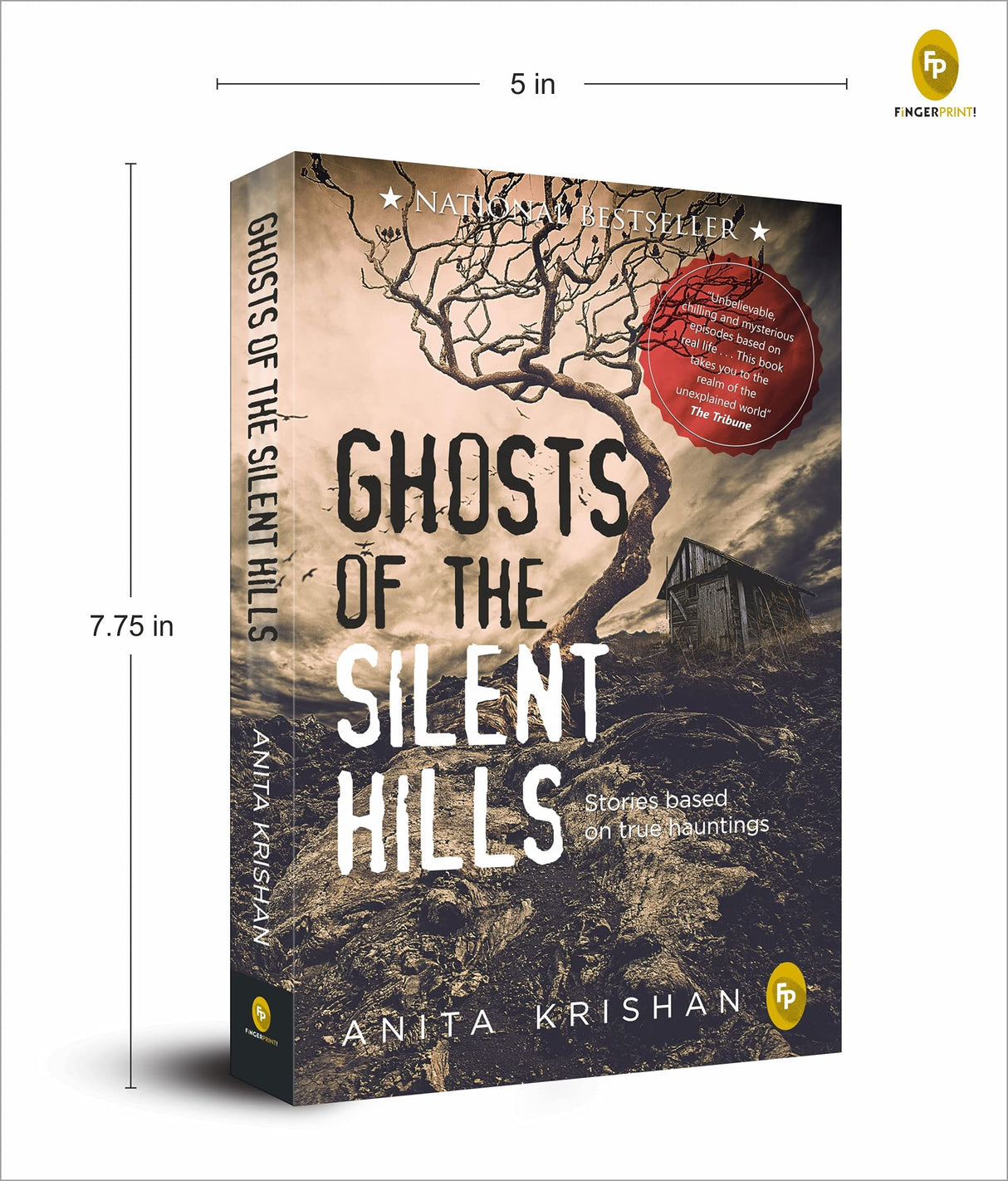 Ghosts of The Silent Hills: Stories based on true hauntings - Retail Maharaj