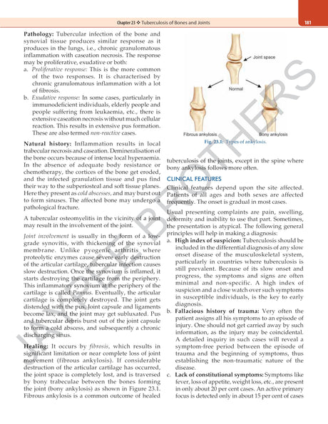 ESSENTIAL ORTHOPAEDICS - Retail Maharaj