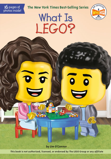 What Is LEGO? (What Was?) - Retail Maharaj