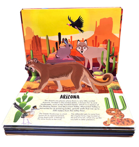 Pop Up Deserts Book for Kids: Interactive Learning with Adventure Pop-Up Scenes | Fun Facts & Surprises Inside | Amazing Animal Life, Habitat & ... | Children’s Nature & Geography Pop-Up Book - Retail Maharaj
