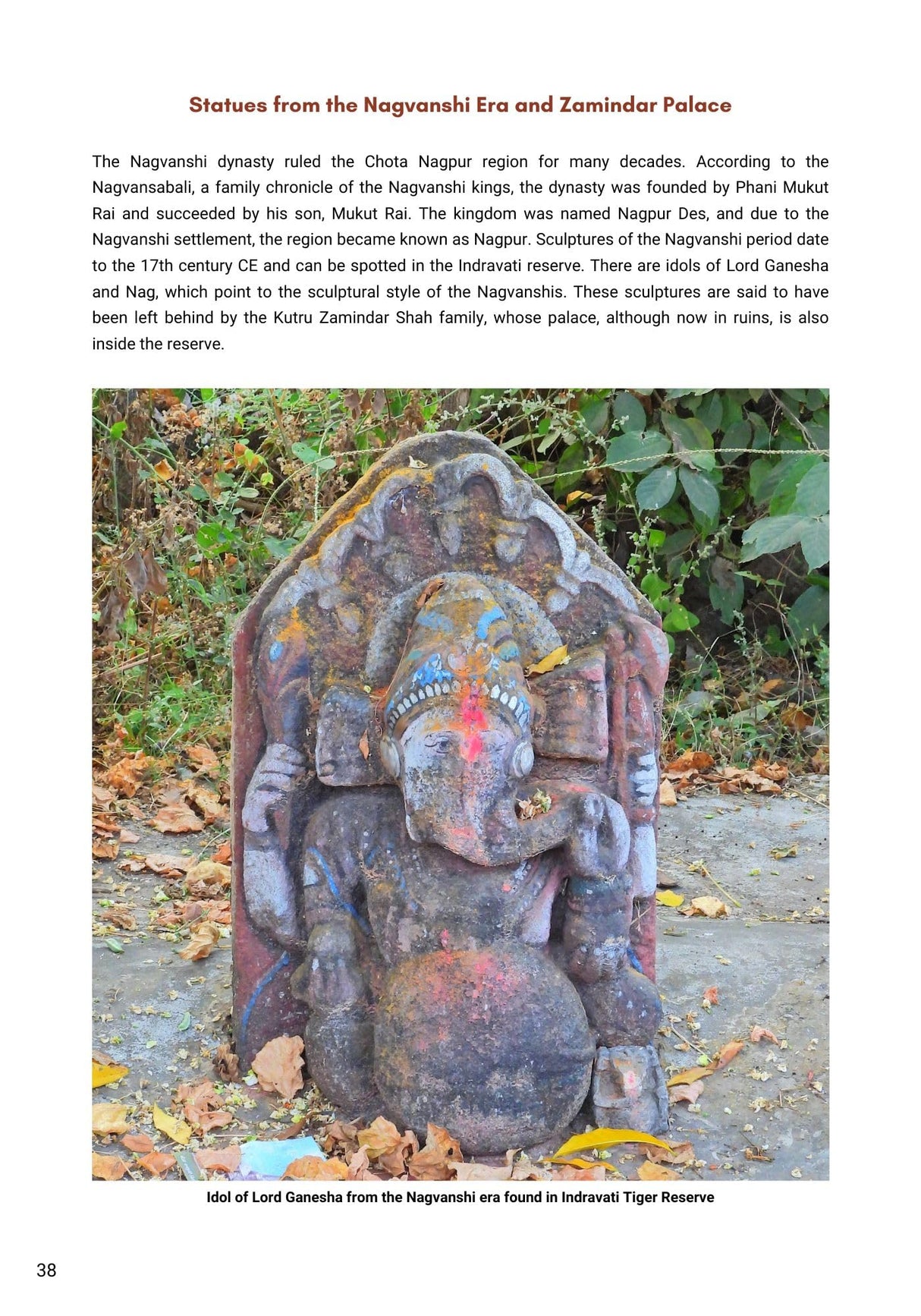 Hidden Treasures : India's Heritage in Tiger Reserves Vol. 1 - Retail Maharaj