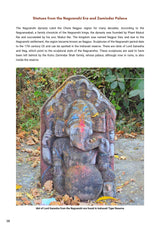Hidden Treasures : India's Heritage in Tiger Reserves Vol. 1 - Retail Maharaj
