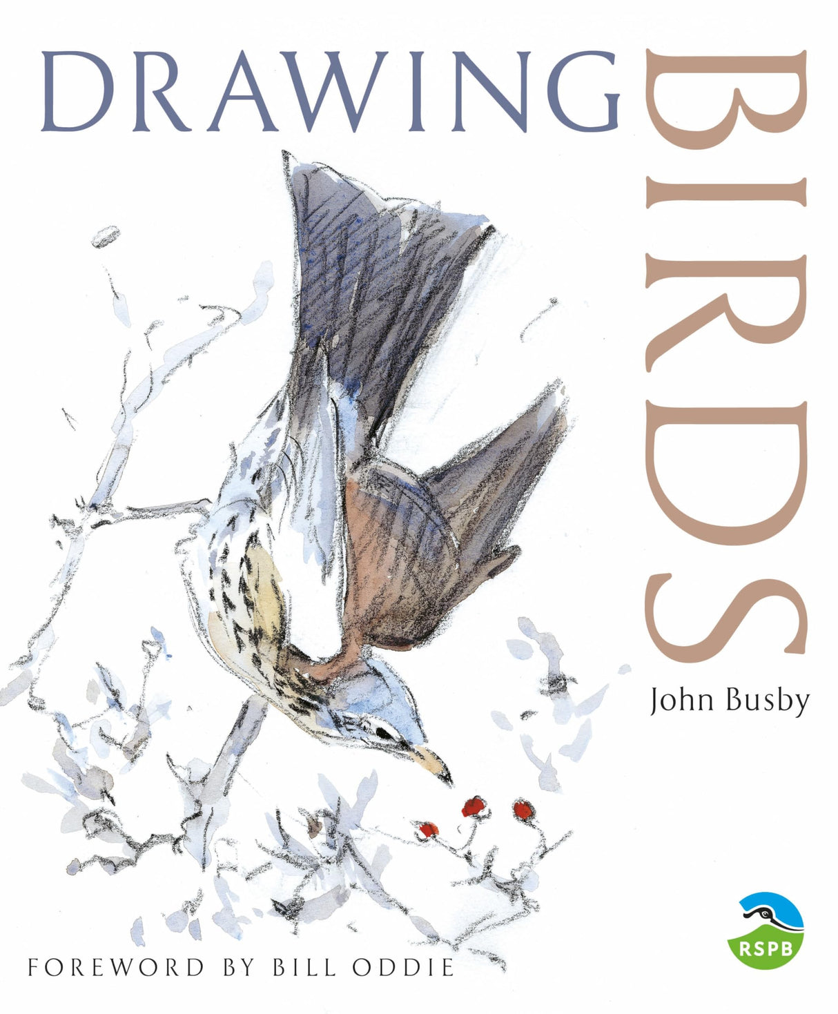Drawing Birds (RSPB) - Retail Maharaj