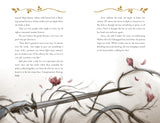 How the King of Elfhame Learned to Hate Stories (The Folk of the Air series): a stunning full colour edition set in the faerie world of Elfhame - Retail Maharaj