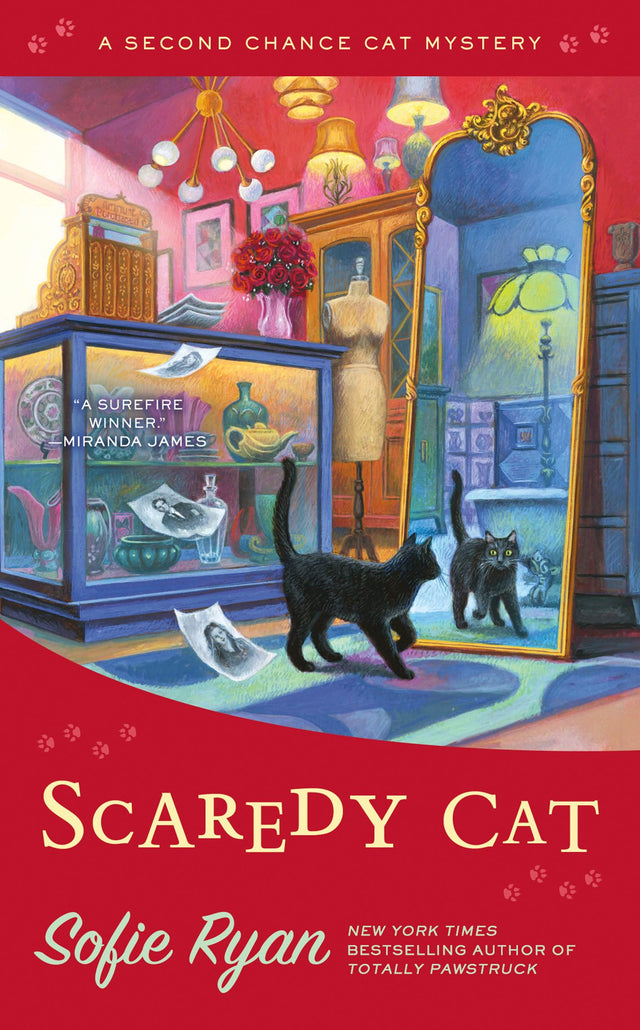 Scaredy Cat - Retail Maharaj