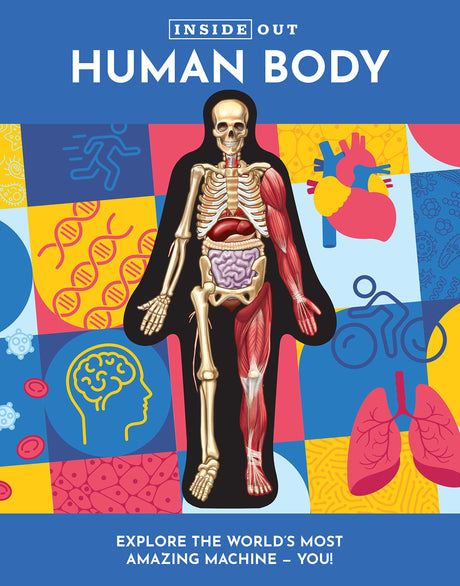 Inside Out Human Body - Retail Maharaj