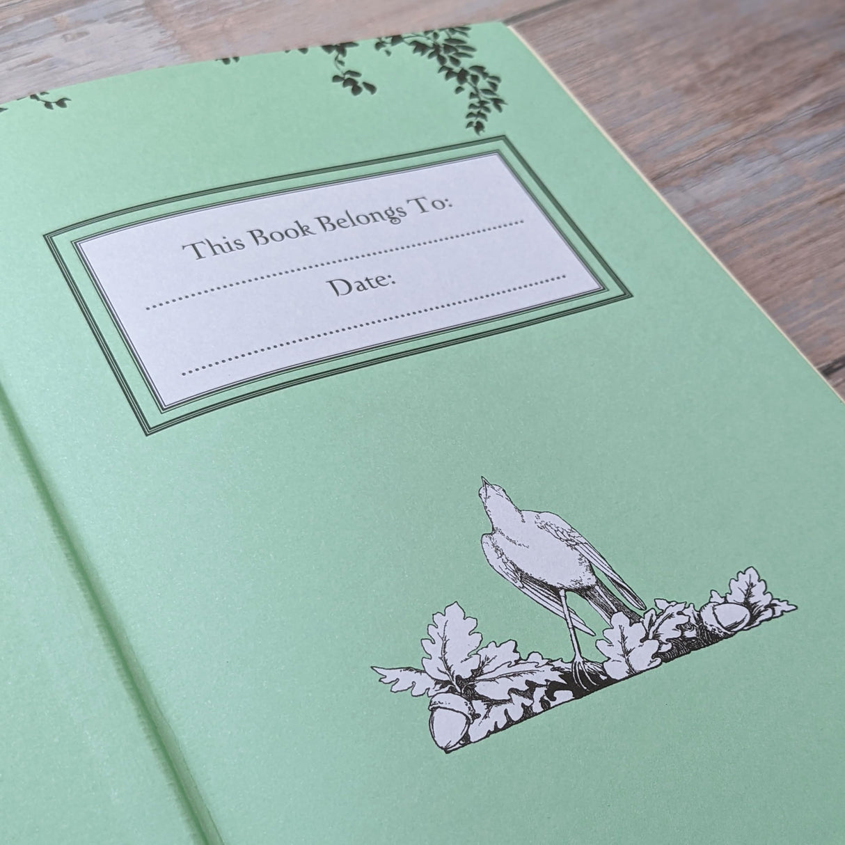 Anne of Green Gables (Bath Treasury of Children's Classics) - Retail Maharaj